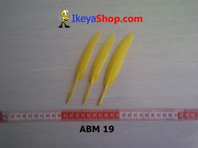 ABM 19  large2